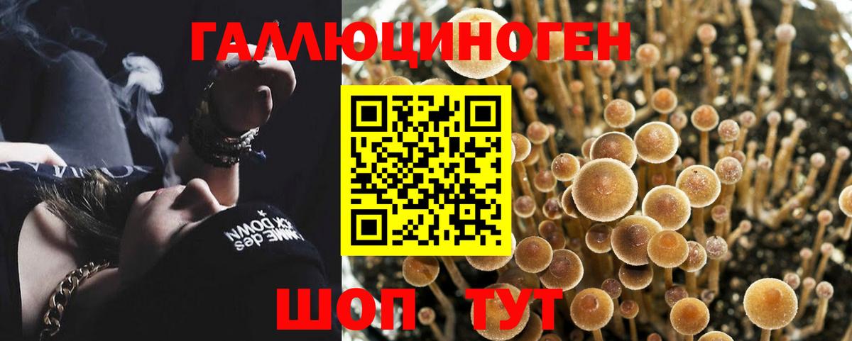 Псилоцибиновые грибы Psilocybine cubensis  цена наркотик  Вход с VPN  Избербаш  Галлюциногенные грибы Psilocybine cubensis 
